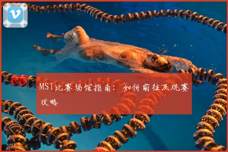 MSI比赛场馆指南：如何前往及观赛攻略