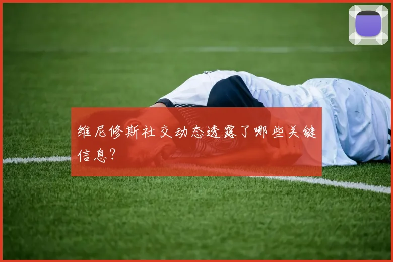 维尼修斯社交动态透露了哪些关键信息？